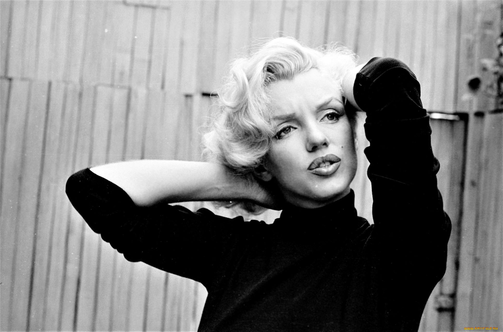 , marilyn monroe, , , , 